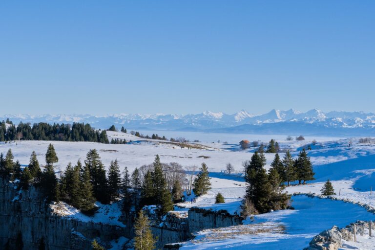 469 Wildenstein – Rifenstein Weg Liestal - Reigoldswil – Märchenwald bei Jura-Forst, Kanton Basel-Landschaft