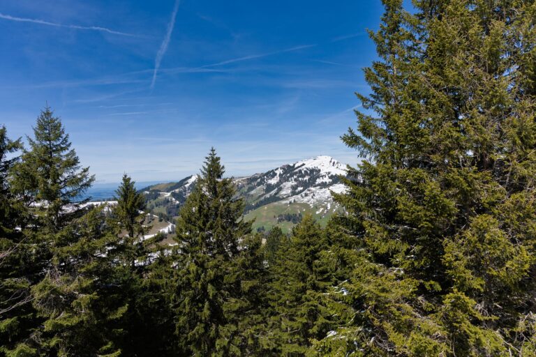 893 Albisgrat-Höhenweg Zürich, Uetliberg - Felsenegg – Familientouren bei Uetliberg, Kanton Zürich