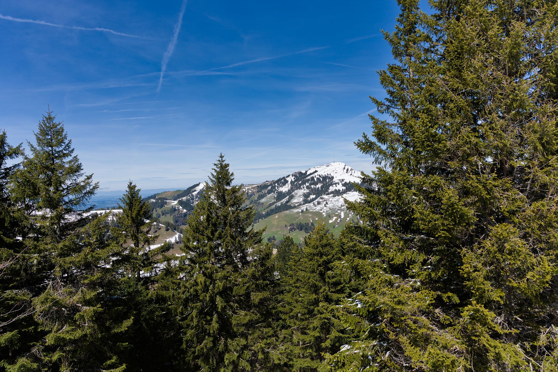 893 Albisgrat-Höhenweg Zürich, Uetliberg - Felsenegg – Familientouren bei Uetliberg, Kanton Zürich