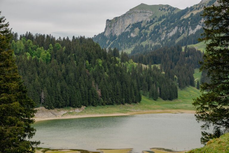 970 St. Galler Panoramaweg St. Gallen (Haggen) - St. Gallen (Schwarzer Bären) – Märchenwald bei Appenzell, Kanton St. Gallen