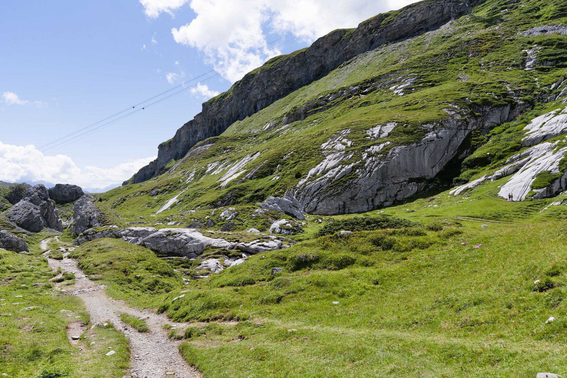 K29 SG Lüthispitz West – Hochgebirgsflora bei Säntis, Kanton St. Gallen
