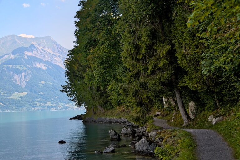 K30 BE Iseltwald - Giessbach (Uferweg) – Seen-Umrundung bei Brienzersee, Kanton Bern