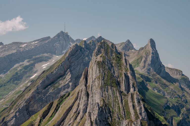 K37 GR Balzers - Guscha (CH) – Hochgebirgsflora bei Appenzell-Alpen, Kanton Graubünden