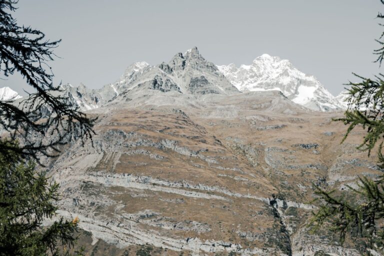 K76 VS Riederfurka Knebelbrückenweg Ried-Mörel - Riederalp (West) – Hochgebirgsflora bei Wallis, Kanton Wallis