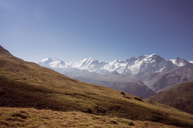 K76 VS Riederfurka Knebelbrückenweg Ried-Mörel - Riederalp (West) – Hochgebirgsflora bei Wallis, Kanton Wallis