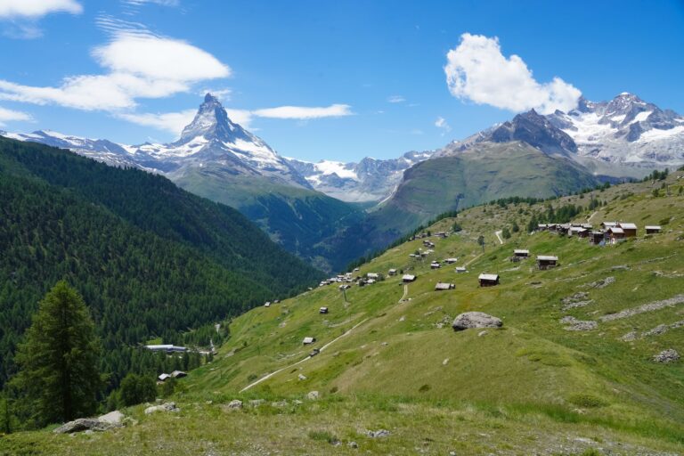 K76 VS Riederfurka Knebelbrückenweg Ried-Mörel - Riederalp (West) – Hochgebirgsflora bei Wallis, Kanton Wallis