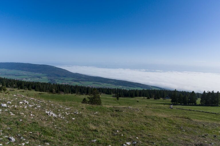 5 Jura-Höhenweg Etappe 14 Le Pont - Col du Marchairuz – Pilzsammlung bei Jura-Waldpilze, Kanton Waadt
