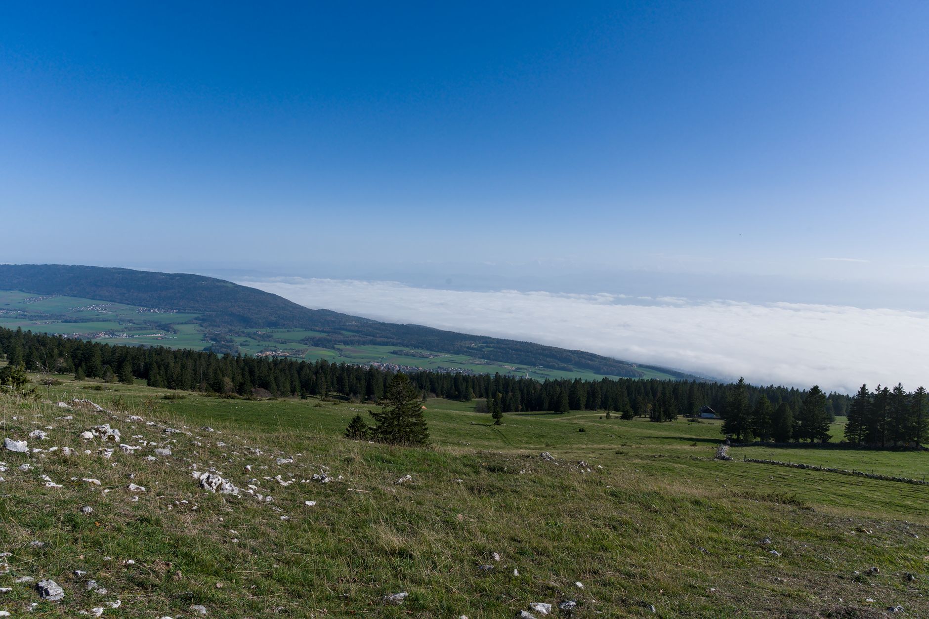 5 Jura-Höhenweg Etappe 14 Le Pont - Col du Marchairuz – Pilzsammlung bei Jura-Waldpilze, Kanton Waadt