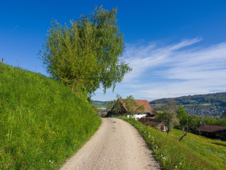 869 Erlenbach-Küsnacht Tobelweg Erlenbach (ZH) - Küsnacht (ZH) – Seen-Umrundung bei Zürichsee, Kanton Zürich