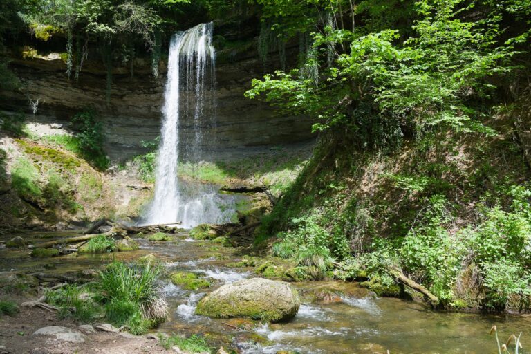 95 Au fil du Doubs Etappe 4 Soubey - St-Ursanne – Pilzsammlung bei Jura, Kanton Jura