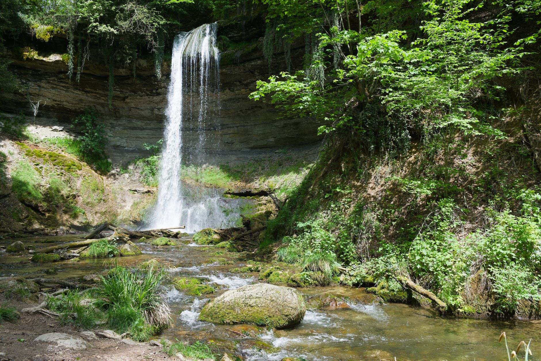 95 Au fil du Doubs Etappe 4 Soubey - St-Ursanne – Pilzsammlung bei Jura, Kanton Jura
